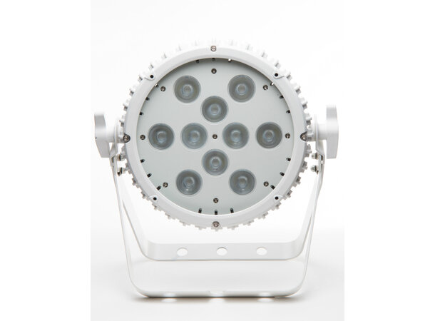 SnowPAR Pro Quad 10/W 10x8W Quad LED RGBW PC I/O,3&5 Pin DMX